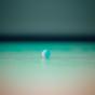 shallow focus 浅景深